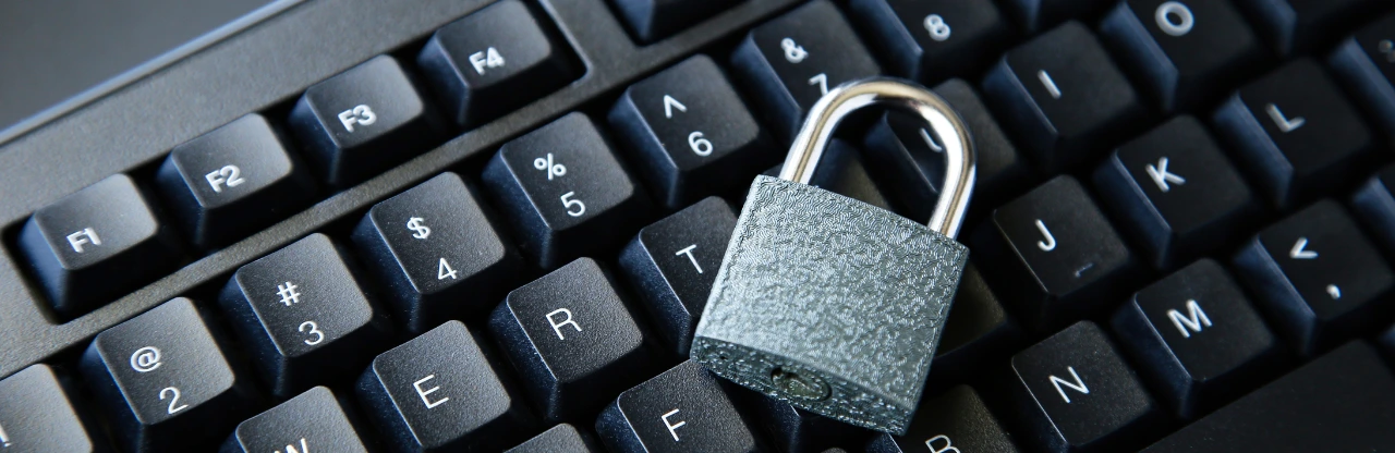 Realiza tu declaración de la renta con total seguridad y rapidez desde casa.